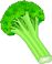 nutritional food--broccoli