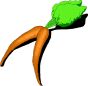 nutritional food--carrots